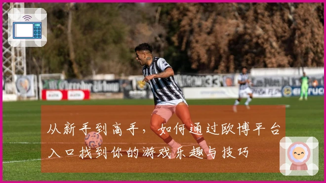 从新手到高手，如何通过欧博平台入口找到你的游戏乐趣与技巧