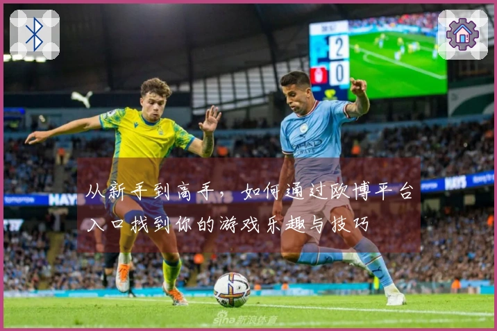 从新手到高手，如何通过欧博平台入口找到你的游戏乐趣与技巧