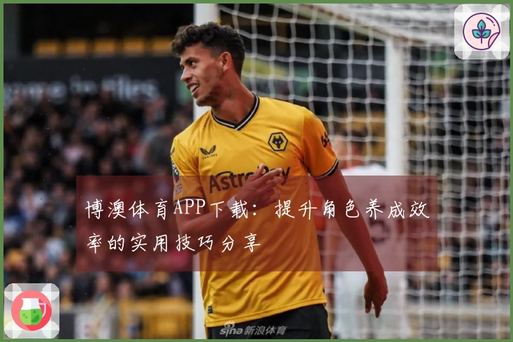 博澳体育APP下载：提升角色养成效率的实用技巧分享